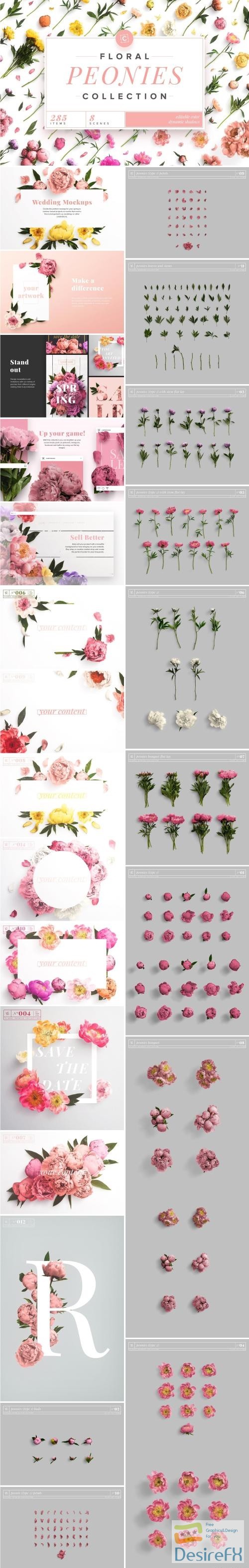 Floral Peonies Collection - 2303528