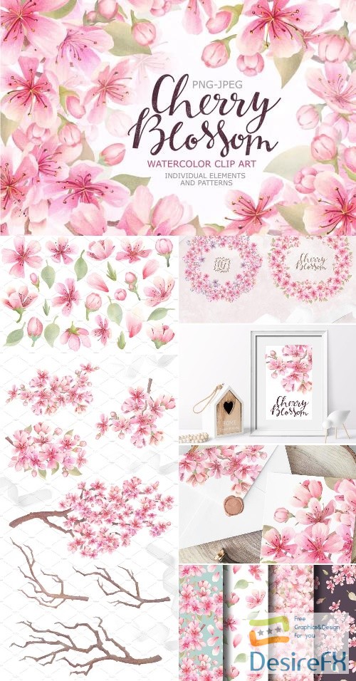 Cherry Blossom Watercolor - 2361263