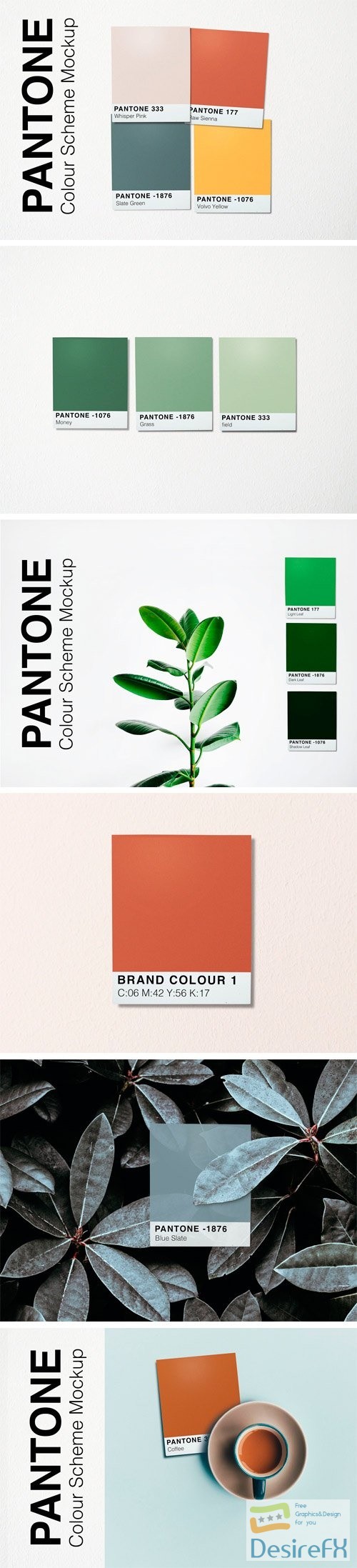 Pantone Colour Scheme Mockup 2389765