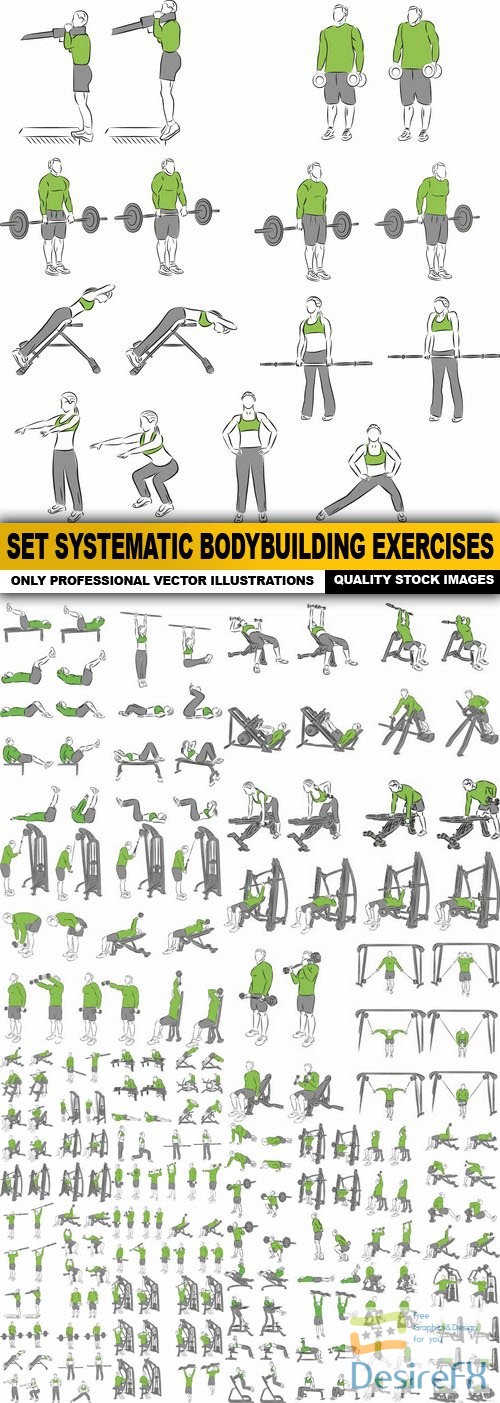 Set Systematic Bodybuilding Exercises - 17 Vector