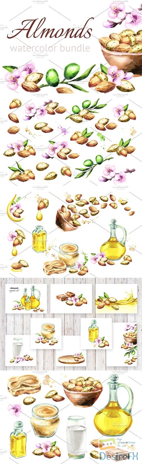 Almonds bundle. Watercolor 1564237