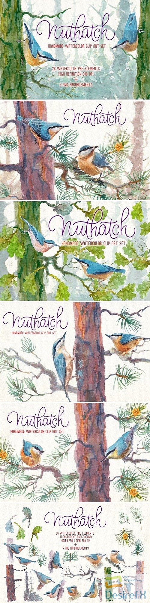 Nuthatch watercolor clipart set 2457736