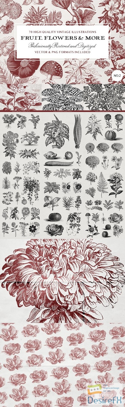 70 Fruit &amp; Flower Illustrations No.2 - 2407032