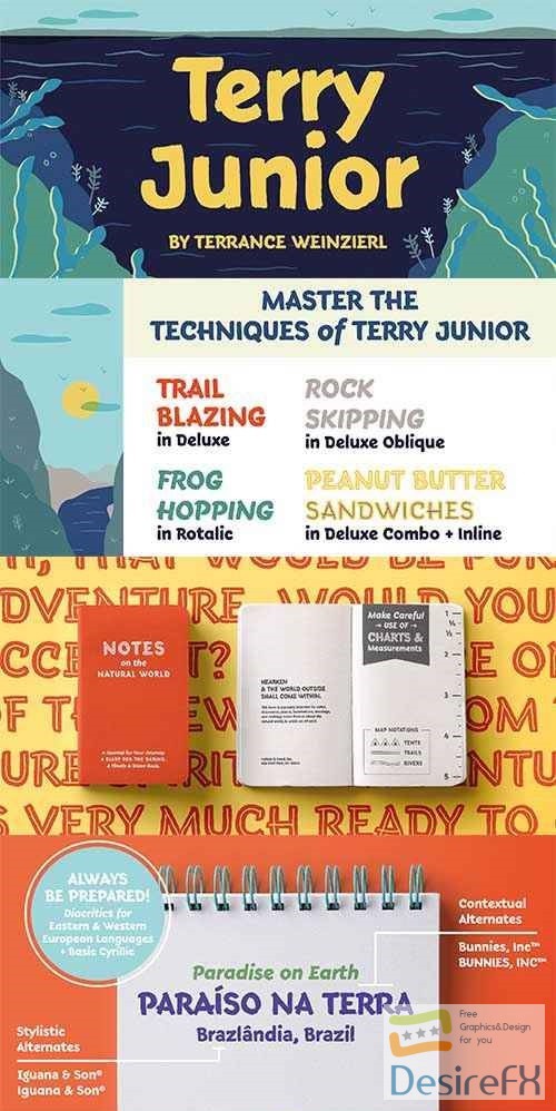 Terry Junior Font Family