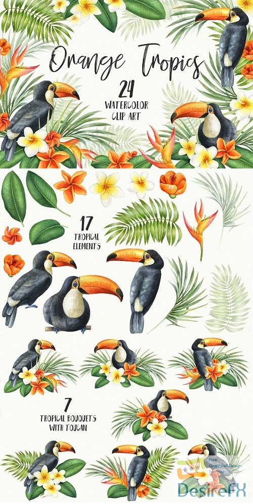 Watercolor Orange Tropics Toucan 2486518