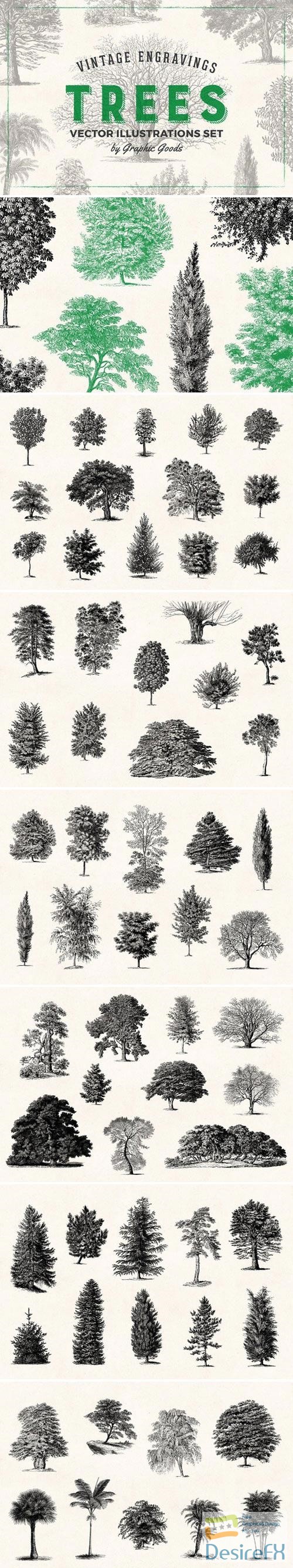 Trees - Vintage Illustrations Set 1566833