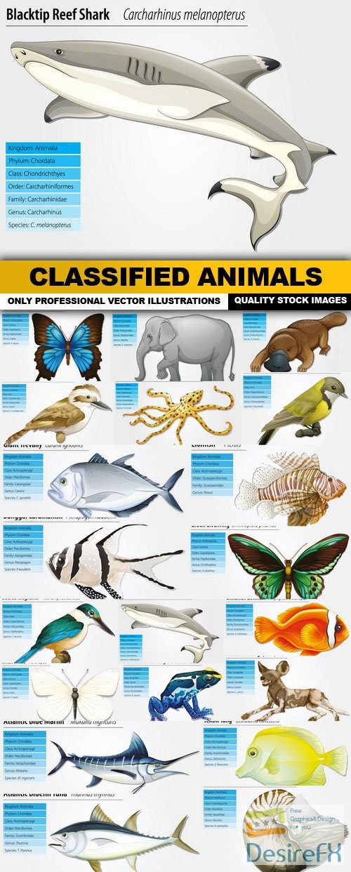 Classified Animals - 20 Vector