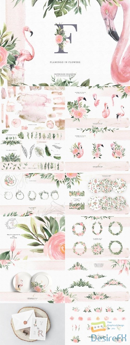 Watercolor Flamingo & Flowers - 2511087