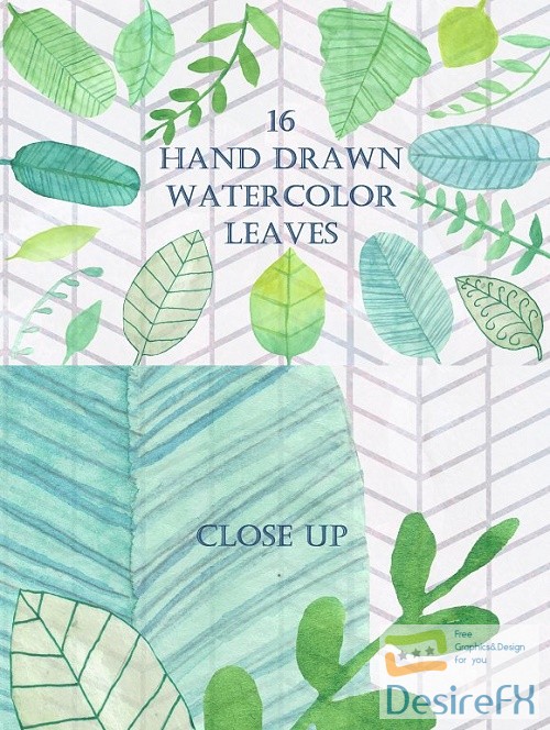 16 Handpainted Watercolor Leaves 2534036