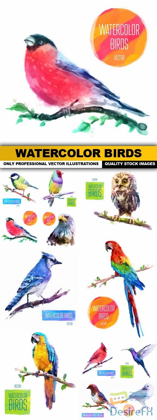 Watercolor Birds - 12 Vector