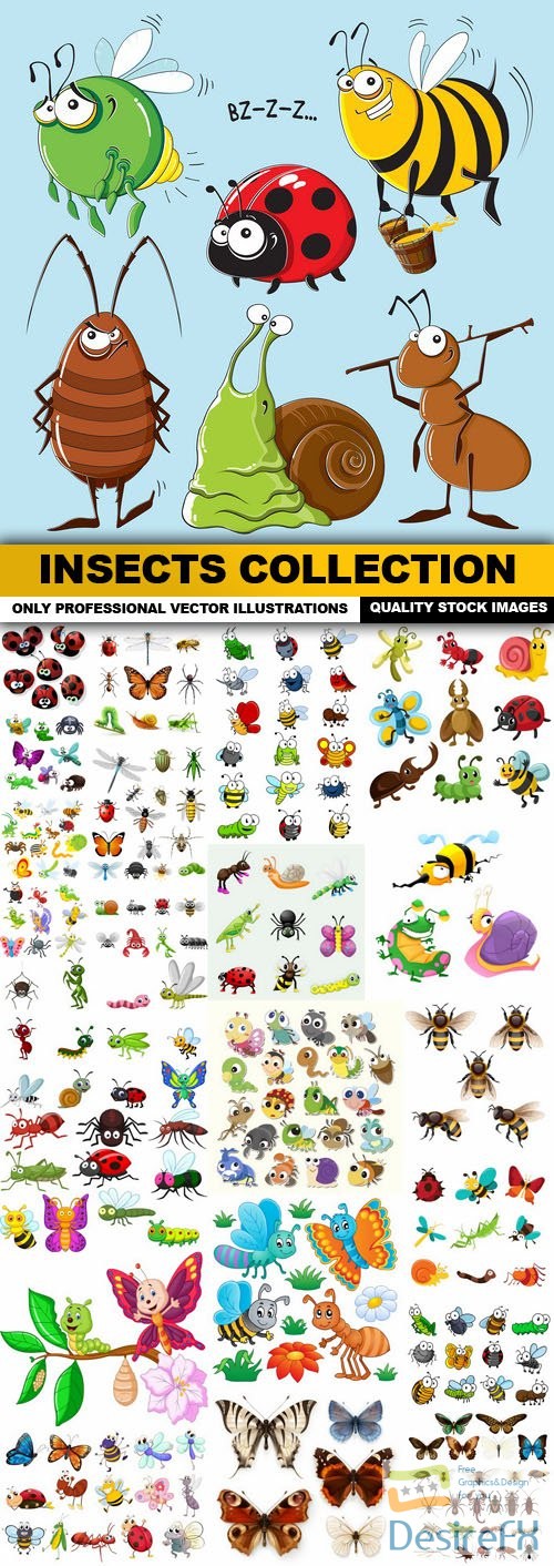Insects Collection - 25 Vector