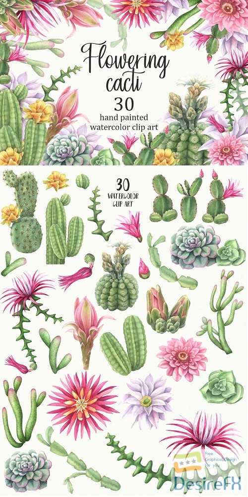 Watercolor flowering cacti 2517486