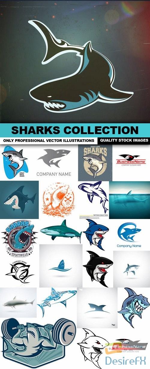 Sharks Collection - 25 Vector