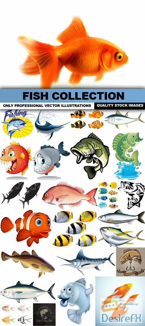 Fish Collection - 25 Vector