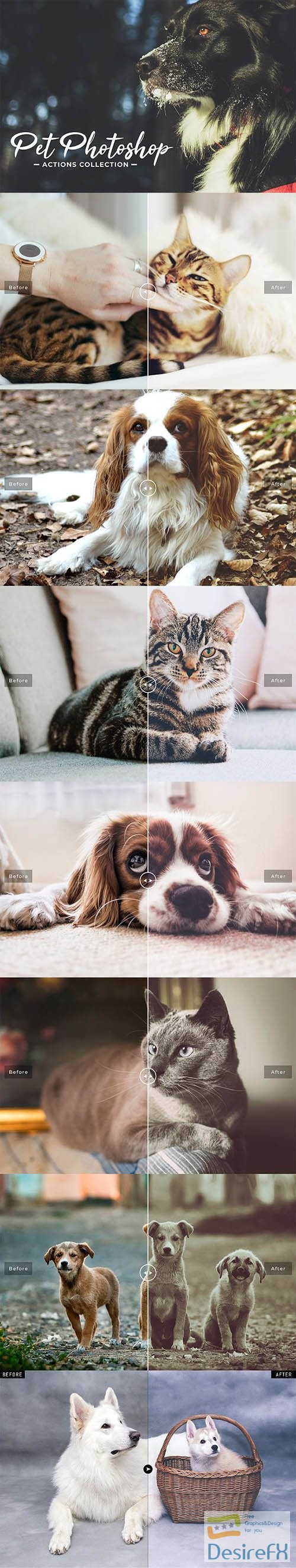 Pet Photoshop Actions Collection 2753974