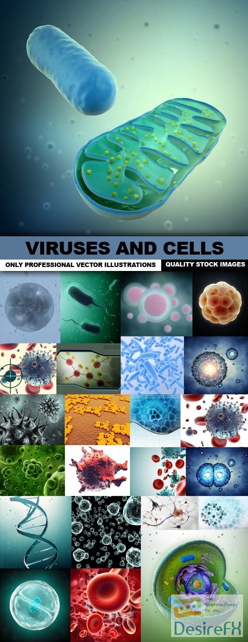 Viruses And Cells - 25 HQ Images