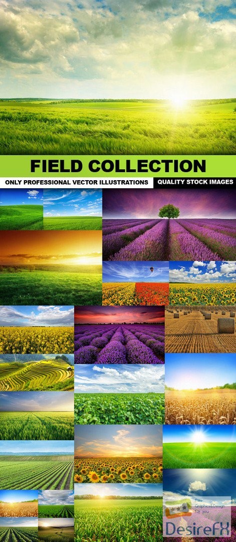 Field Collection - 25 HQ Images