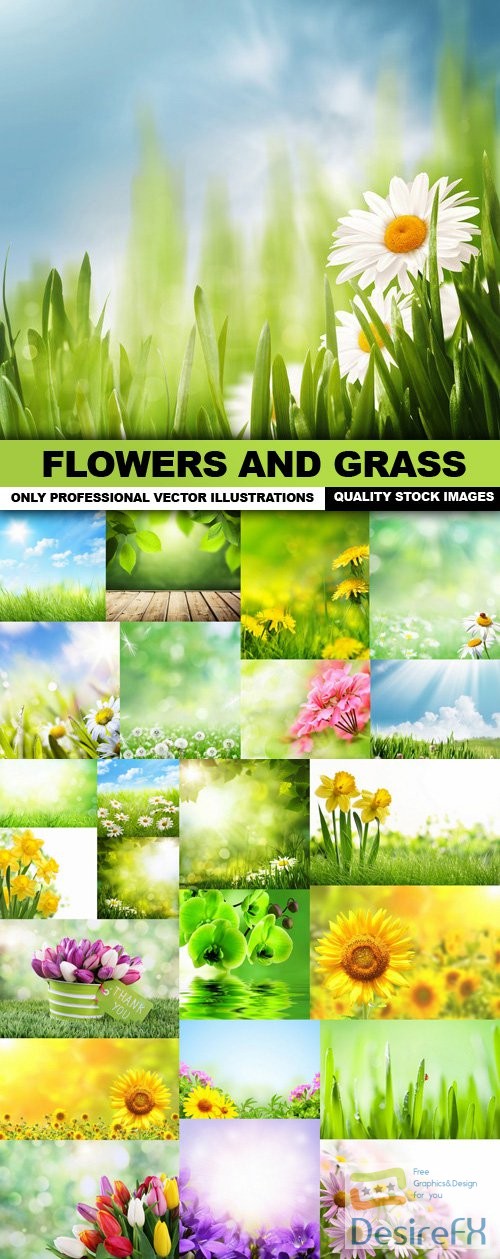 Flowers And Grass (backgrounds) - 25 HQ Images