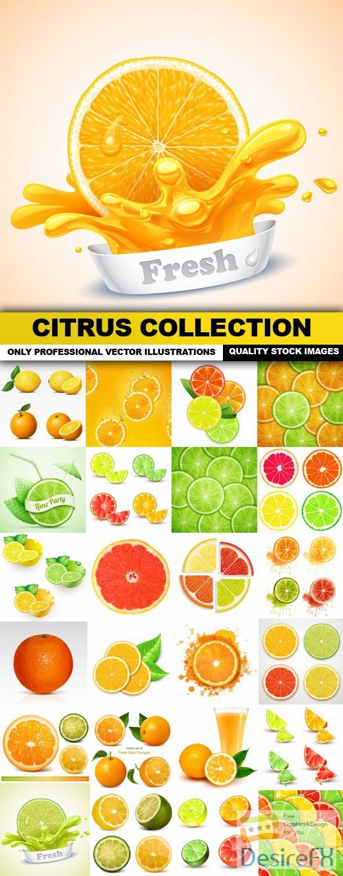 Citrus Collection - 30 Vector