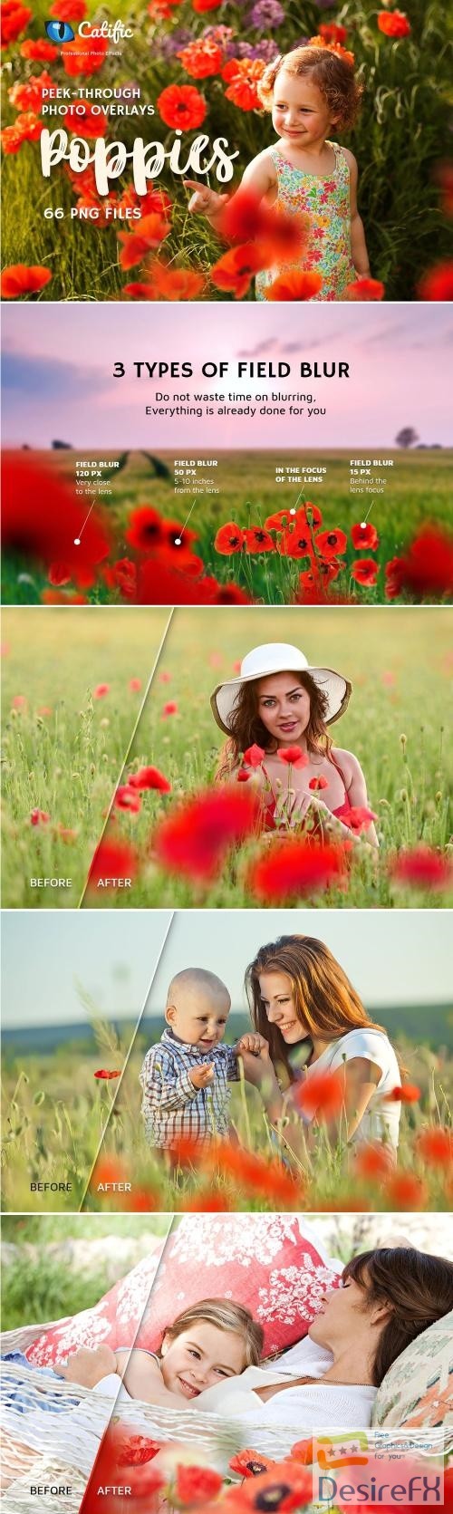 17 Poppie Flowers Photo Overlays - 3019394