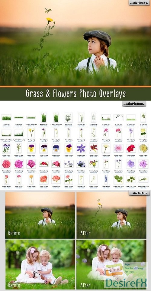 Grass & Flowers Photo Overlays - 2814340