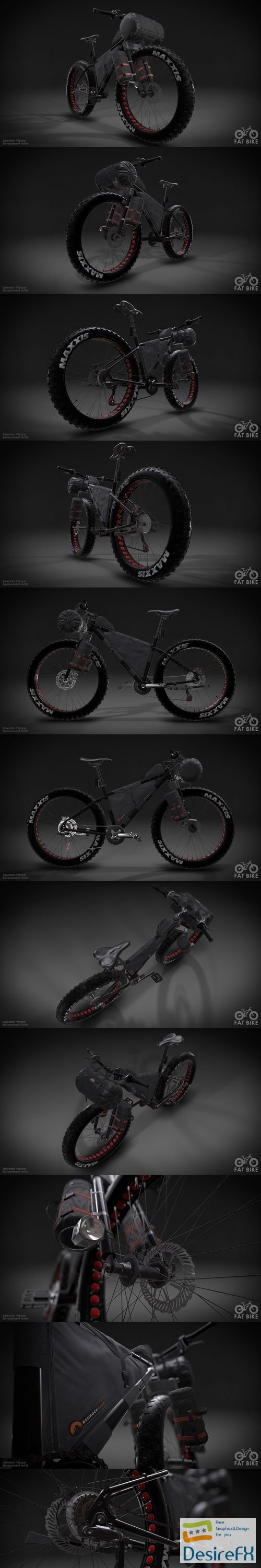 The Fat Bike 3D Model