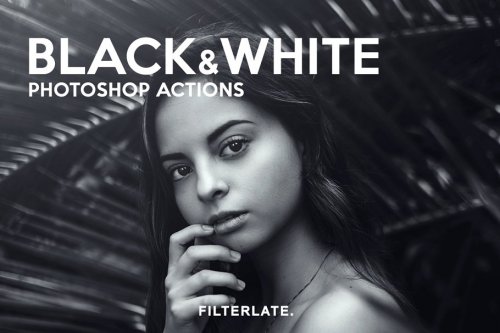 CreativeMarket - Black &amp; White Photoshop Actions 3164838