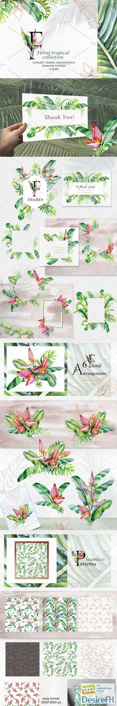 Floral Tropical Collection - 3565227