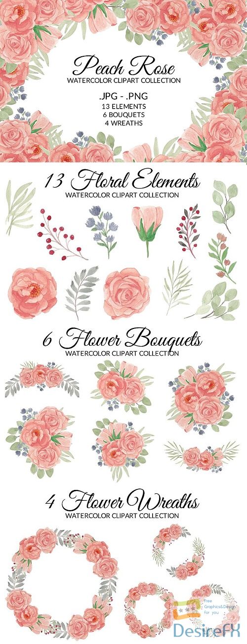 Peach Rose Flower Watercolor Clipart Collection  - 514459