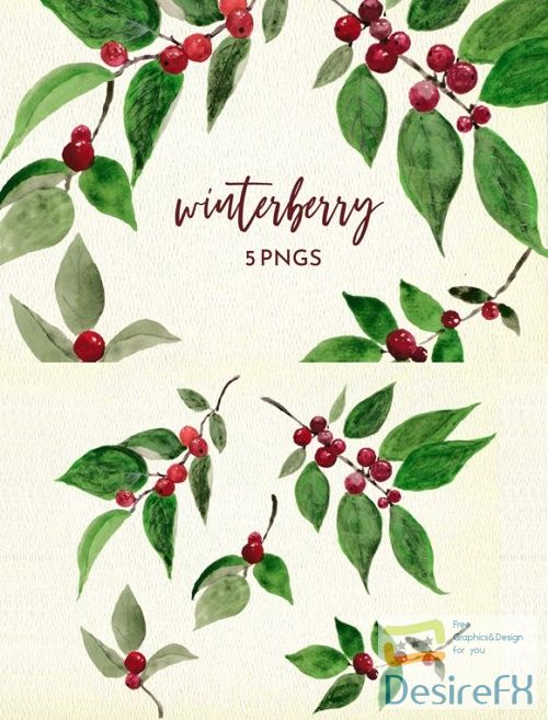 Winter Berry Watercolor