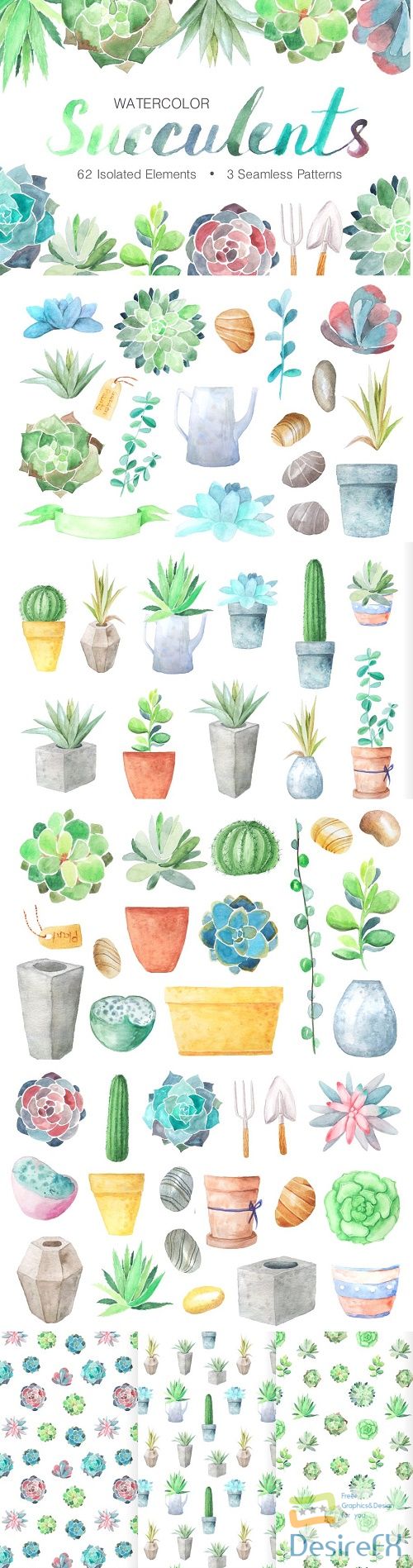 Watercolor Succulents Collection - 1254088