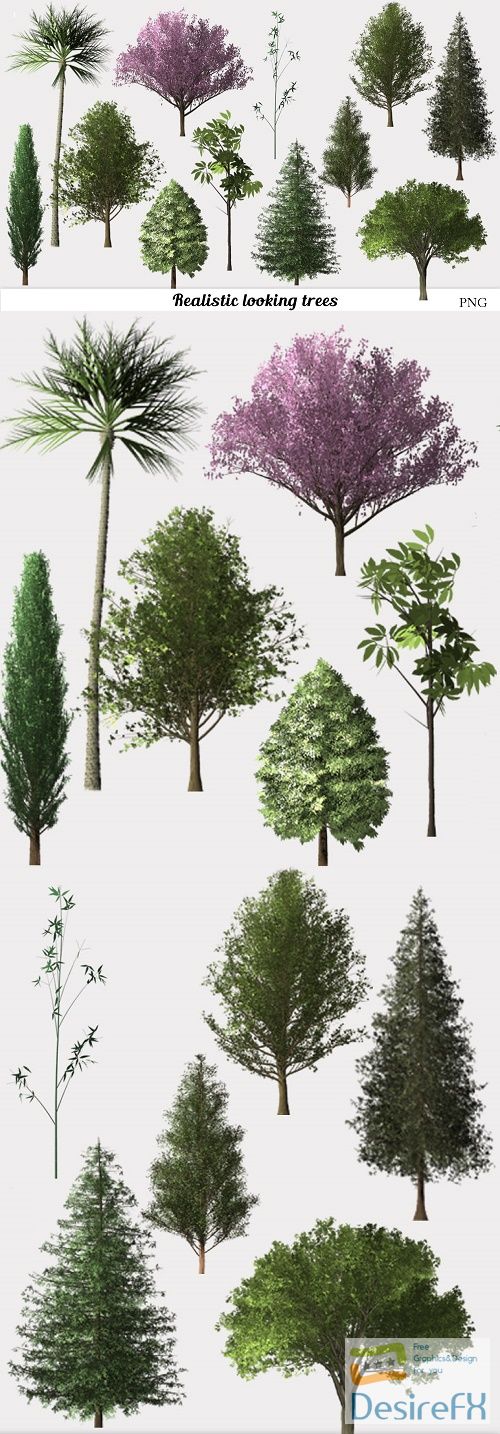 Tree Clip Art, Realistic Tree Assortment