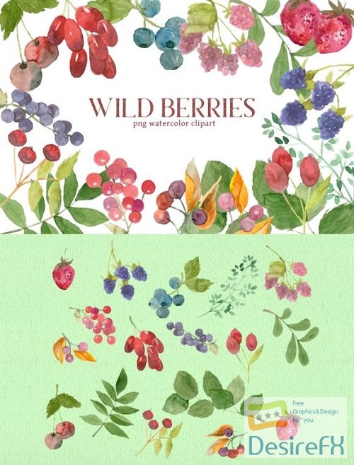 Mixed Berries Watercolor Clipart