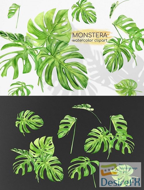 Watercolor Monstera Clipart. Tropical Clipart. Green Leaves - 515159
