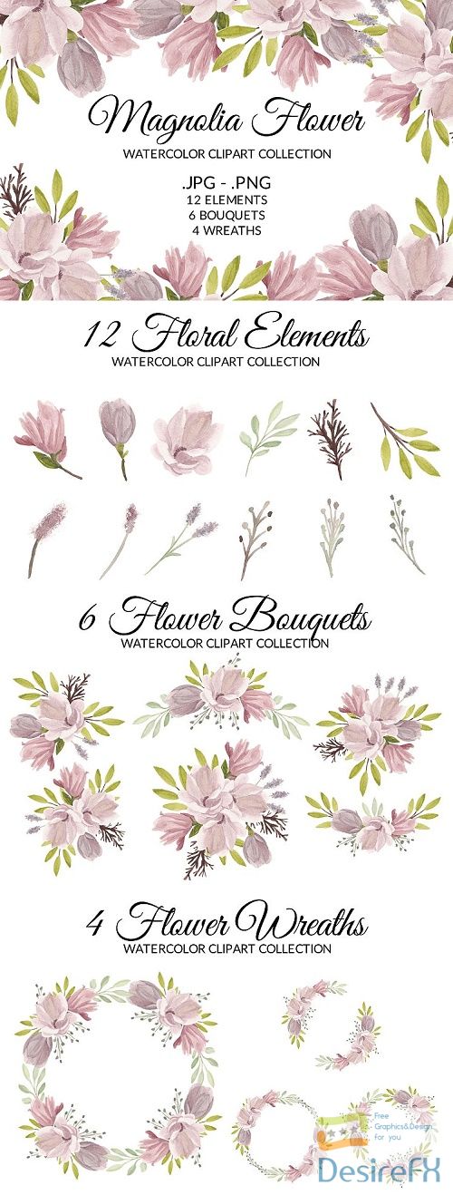 Magnolia Flower Watercolor Clipart Collection  - 514422