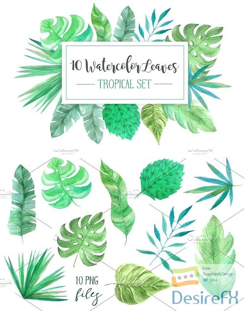 Watercolor Tropic Leaves Set - 1540284