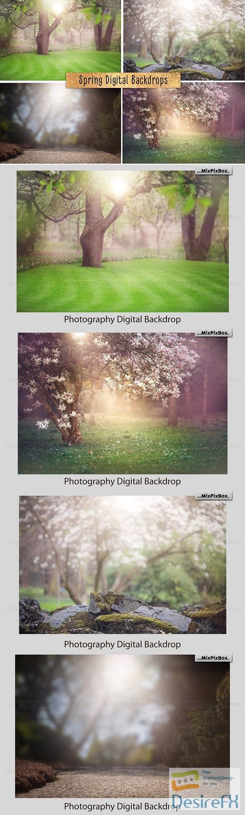 Spring Digital Backdrop - 4858985