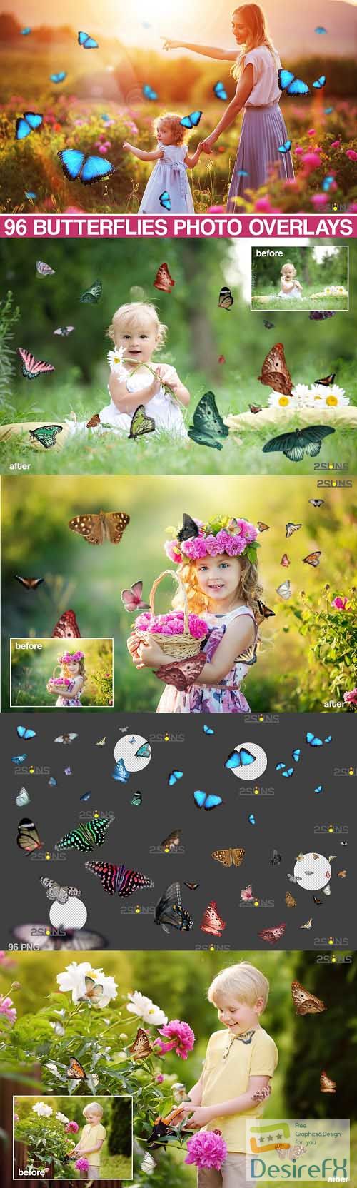 Butterfly Overlay, Butterflies Photoshop overlays - 552958