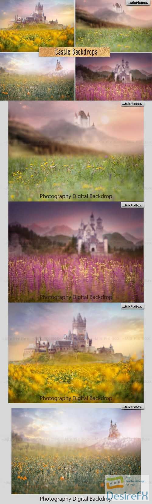 Castle backdrops - 4858980