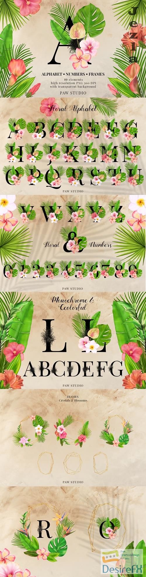 Tropical Graphic Letters Numbers Floral Frames Monogram - 532343