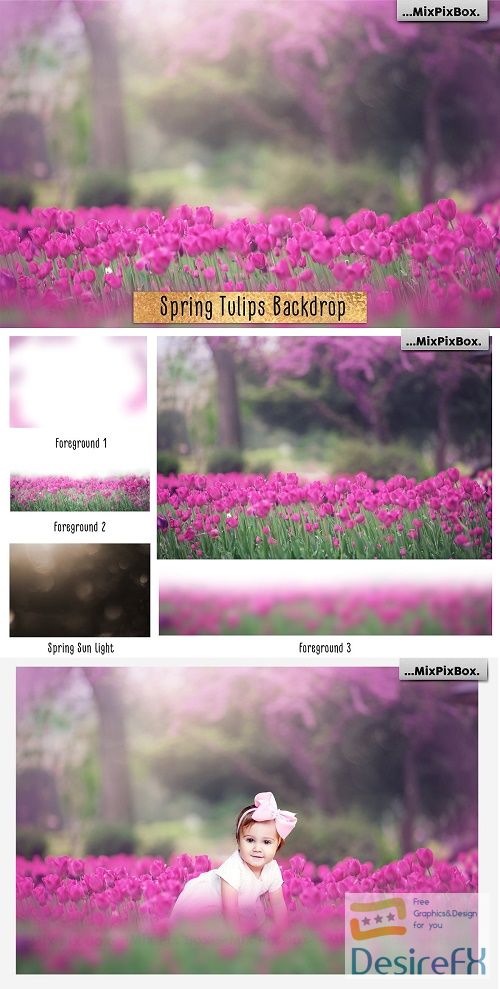 Spring Tulips Backdrop - 4685172