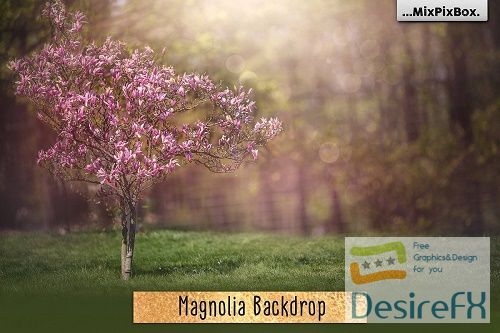 Magnolia Backdrop - 4772016