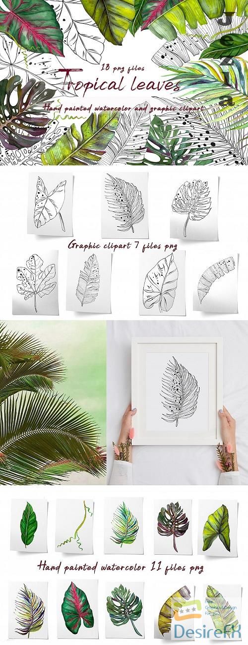 Tropics hand-painted watercolor and graphic clipart - 534792