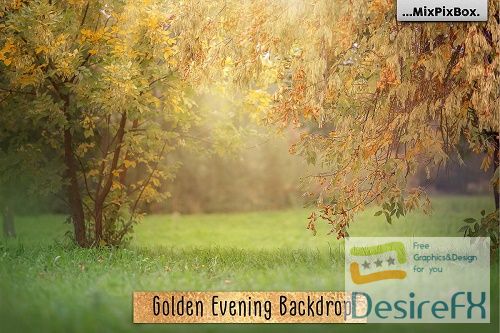 Golden Evening Backdrop - 4772024