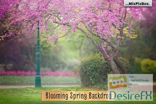 Blooming Spring Backdrop - 4772037