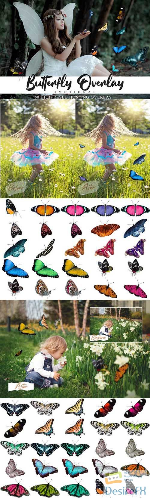 60 Butterflies Photo Overlays  - 557039