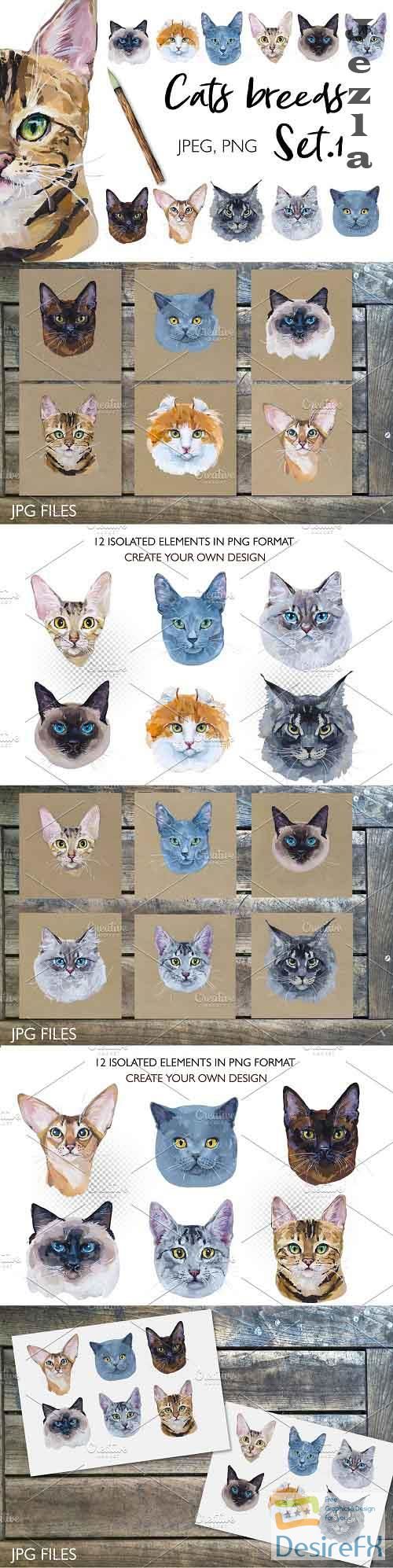 Cat breeds. Set_1 - 4893414