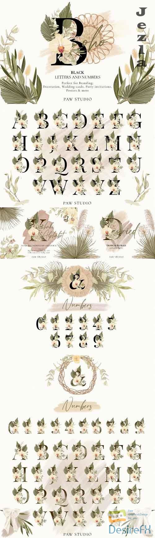 Boho Alphabet Numbers Graphics With Orchid, Dried Leaves - 566233