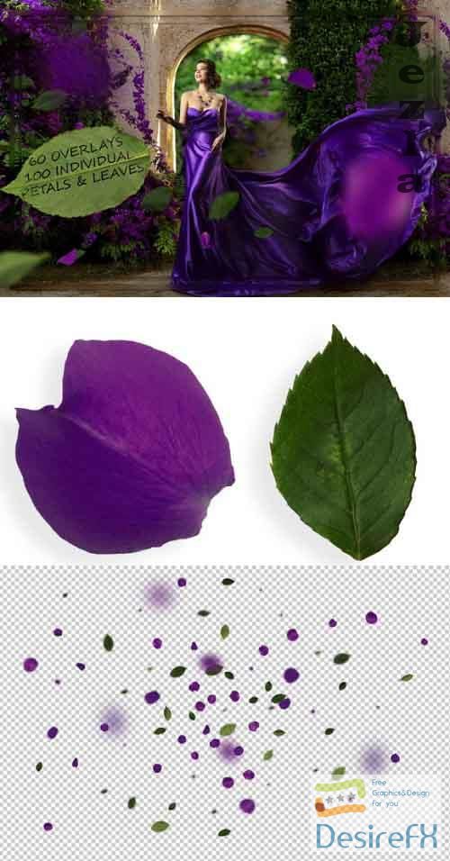 Purple Petals & Leaves Overlays