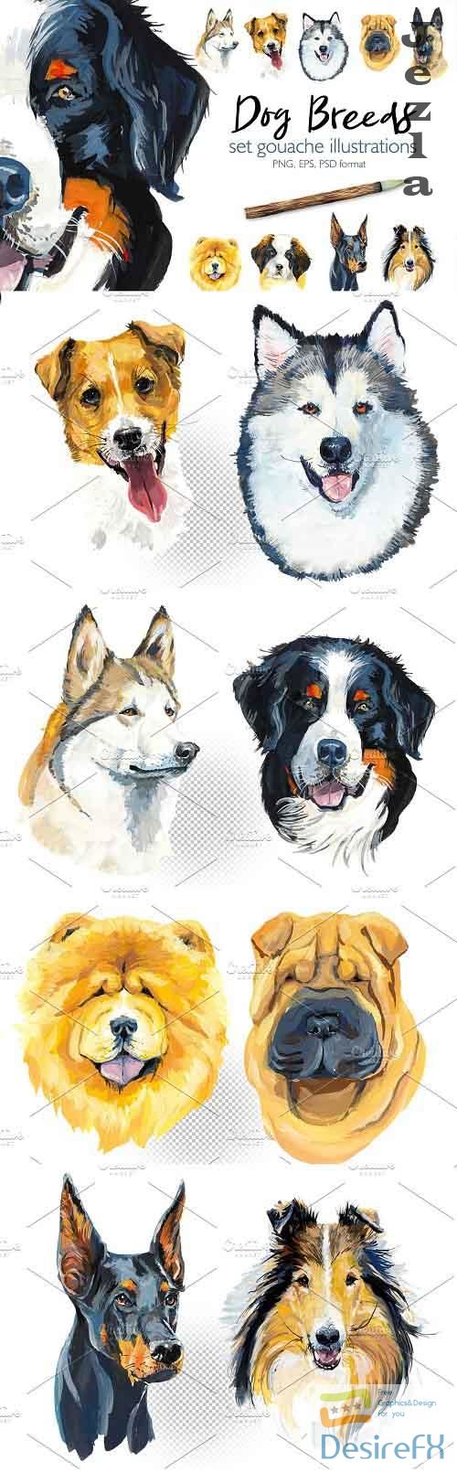 Dog breeds - 3716953